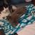 Beautiful Kittens looking for new homes 4 thumbnail