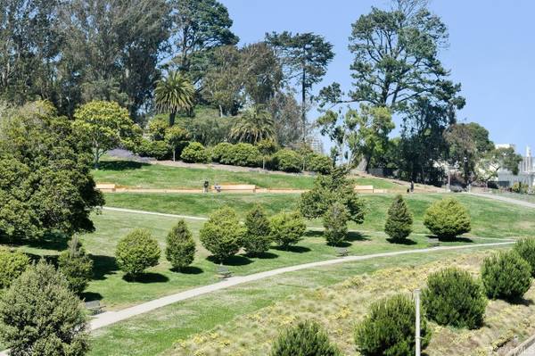 $3,000 / 1br - 790ft2 - Elegant, spacious Junior One bedroom (Pacific Heights)64000755232130123
