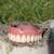 Dentures/ false teeth 6 thumbnail