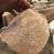 06- authentic native American artifact 3 thumbnail