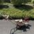 Commercial Lawn Edger 1 thumbnail