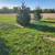 Free fencing and posts 1 thumbnail