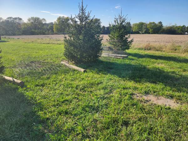 Free fencing and posts 1