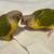 Baby Green Cheek Conures with New Cage 3 thumbnail