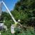 👷🏻‍♂️🌳 Tree Services, Tree trimming, Stump Grinder, Chipper.🌳 5 thumbnail
