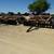Hay & Equipment for Sale 3 thumbnail