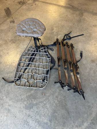 Lone Wolf Alpha Assault 1