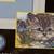 Dimensions Stamped Cross Stitch Kit Little Blessings Cat #3198 10X14 4 thumbnail