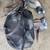 Goose Decoys (Mixed Bag) 3 thumbnail