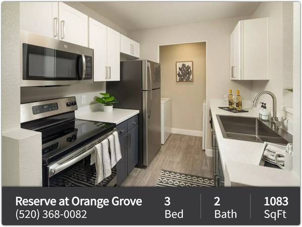 Pet paradise! 3 Bed/2 Bath perfect for furry companions. 1