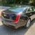2018 Cadillax XTS PRO Livery Trim #4890 4 thumbnail