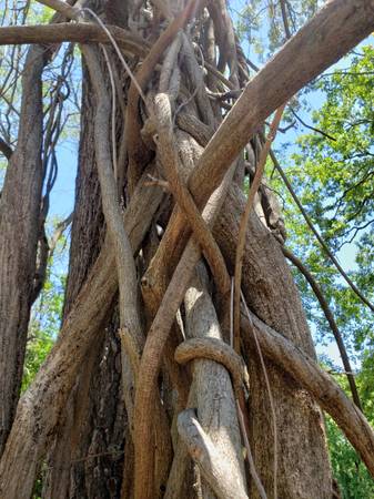 Lot/city of Warrior 1