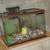 Fish tanks 2 thumbnail