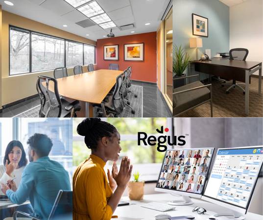 Customizable Private Offices Boost Your Energy at Work! 1