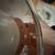 PEARL SESSION STUDIO SELECT SNARE DRUM (PRISTINE CONDITION) 8 thumbnail