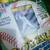 FLEER 91' 1991 ROYALS Complete Team Set Baseball Cards - 27 Cards 4 thumbnail
