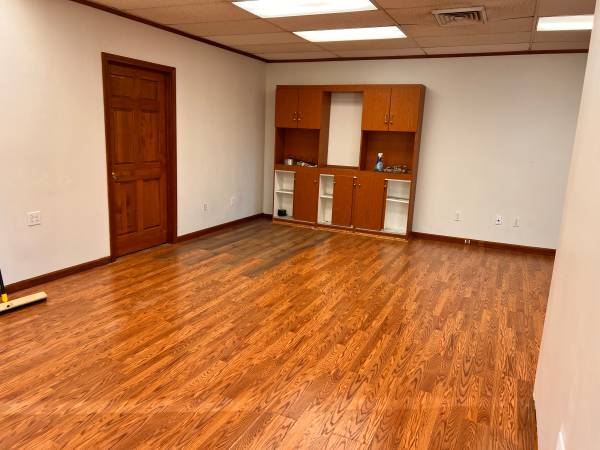 Professional office 1