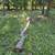 FREE PINE FIREWOOD-MOSTLY CUT 2 thumbnail