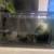 Fish tank 80 gallon 2 thumbnail