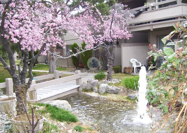$1,605 / 2br - Fantastic 2B/2B Apartment * Picnic and BBQ area - Pet-friendly! * (Reno)63682273508483124