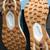 "NEW" — BROOKS "CATAMOUNT 2" TRAIL RUNNING SHOES, SIZE: MENS US 9.5M 3 thumbnail