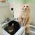 AMAZING 1 bedroom + PRIME Location + Adorable Kitty Cats! 8 thumbnail