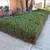 Great Yard Work / Tree Work🍁🍂🍁 🪵 AND MAINTENANCE, 🍁🍂YARD CLEAN 3 thumbnail