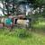 spray tractor 2 thumbnail