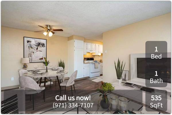 $1,145 / 1br - 535ft2 - ¡Te encantará nuestra increíble comunidad! ¡Barrio muy deseable! (Salem - Cerca del Aeropuerto Municipal de Salem)63660461266819120