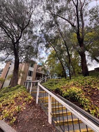 $275 Sublet therapy office near downtown Walnut Creek (walnut creek)64151014369667121