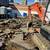 👷🚜bobcat & EXCAVATOR services yards tear out ♦️dirt ♦️sod♦️dir 16 thumbnail