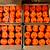 48 Cans (4cases) Aervoe Inverted Orange Marking Paint - Construction Grade High  1 thumbnail