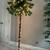 7 Foot Tall - Lighted Artificial Palm Tree 1 thumbnail