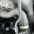 MOBILE BMW MECHANIC 21 thumbnail