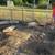 Potbelly Pig 9 thumbnail