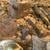 Large Lot of Trunk Hardware for Restoration - Many Styles, Pieces LOOK 12 thumbnail