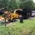 CEDAR CLEARING, CHIPPING, LOT CLEARING, TREE REMOVAL, TRIMMING 8 thumbnail