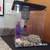 2.5 Gal. Fist Tank 2 thumbnail