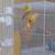 Sun Cheeks Conures , breeding pairs 2 thumbnail