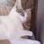 Teenage cats need homes 11 thumbnail