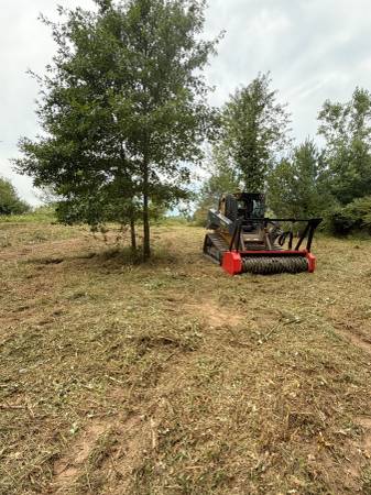 Forestry Mulching 1