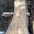 Live Edge Boards 2.00-3.00 per board foot 7 thumbnail