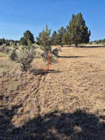 $12,000 🏡 Lote de 1.1 acre – Pit River Estates – ¡Listo para construir! (Alturas)63656873904641123