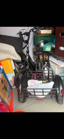 E-Trike 1