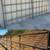 12ft CORRAL PANELS 4-RAIL 6 thumbnail