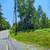 Commercial or Industrial Land on Busy Road 7 thumbnail