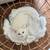 Cat rehoming 2 thumbnail