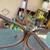 Rustic rusty sturdy wrought iron plant stand with glass top 4 thumbnail
