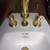Kohler vertical spray bidet with Kohler faucet set..... 5 thumbnail