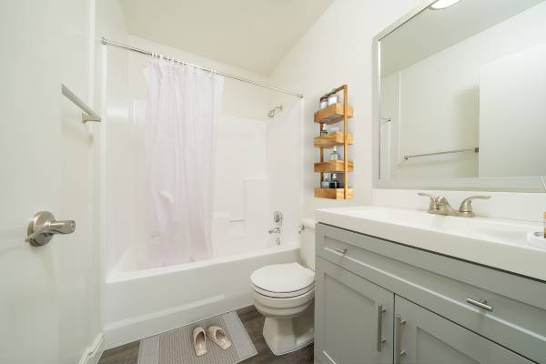 $2,650 / 2br - 780ft2 - Beautiful 2 Bedroom 1 Bath With Water, Trash and Sewer Included! (San Marcos)63701665939075122